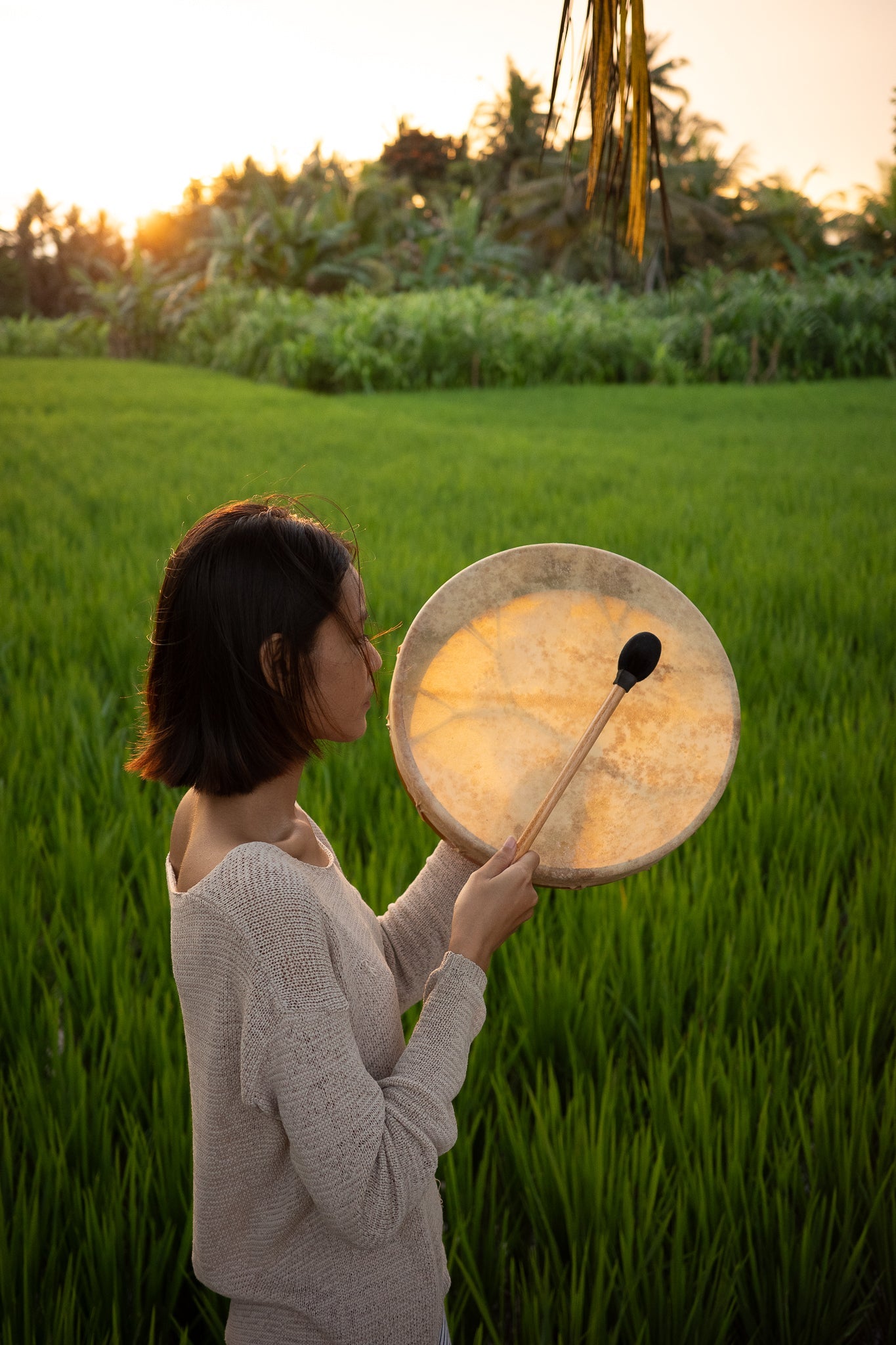 Sound Healing Collection