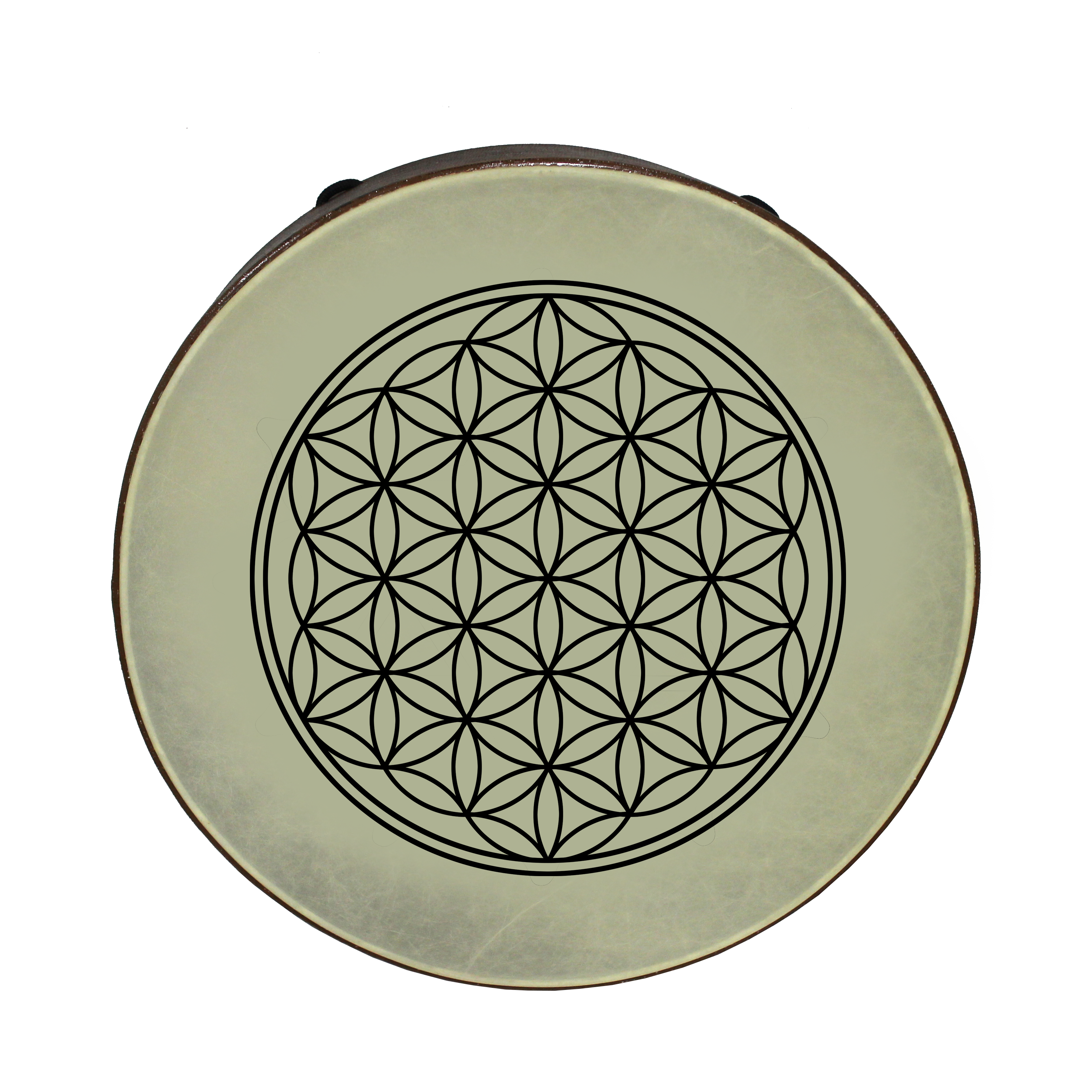 Bahia Drum - Yellow Synthetic Head